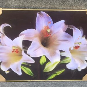Elegant White Lily Floral Wall Art – Premium Framed Print