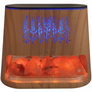 Dual-Light Essential Oil Humidifier with Himalayan Salt Therapy